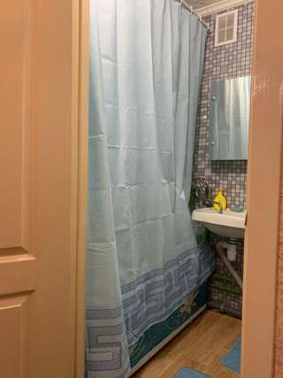 Апартаменты Апартаменты на ГОГОЛЯ,460 Черкассы Апартаменты с 1 спальней-12